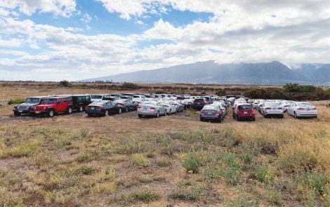 Rental cars more affordable as demand slows